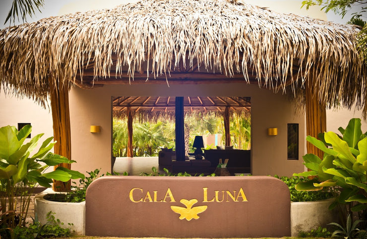 Costa Rica Wellness Retreat
